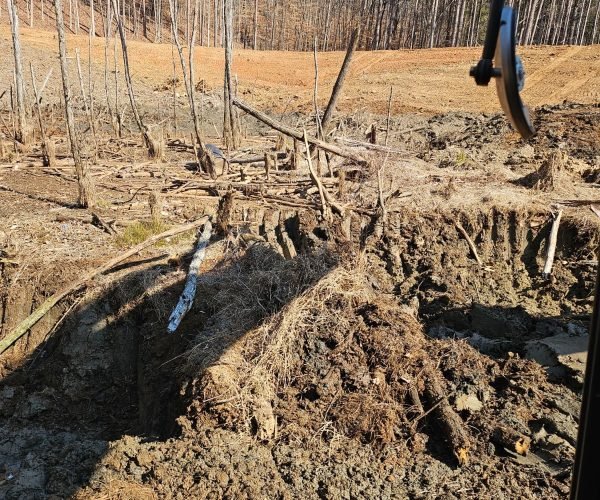 WhatsApp Image 2026-02-13 at 5.41.43 PM (1) - copia - copia